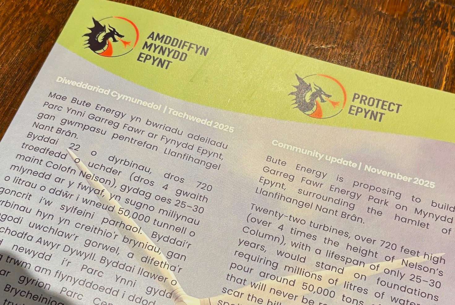 AMC Flyer December 2025