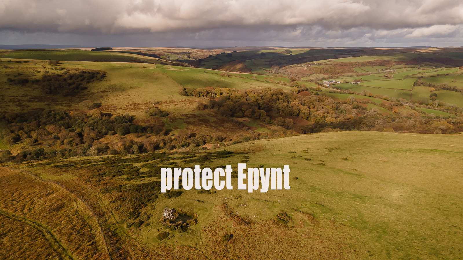 Protect Epynt